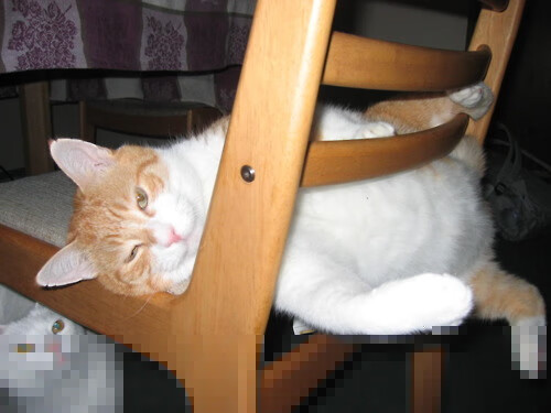 雷火电竞合作-欧冠之夜独舞，马克西一手掌控的悬念终结