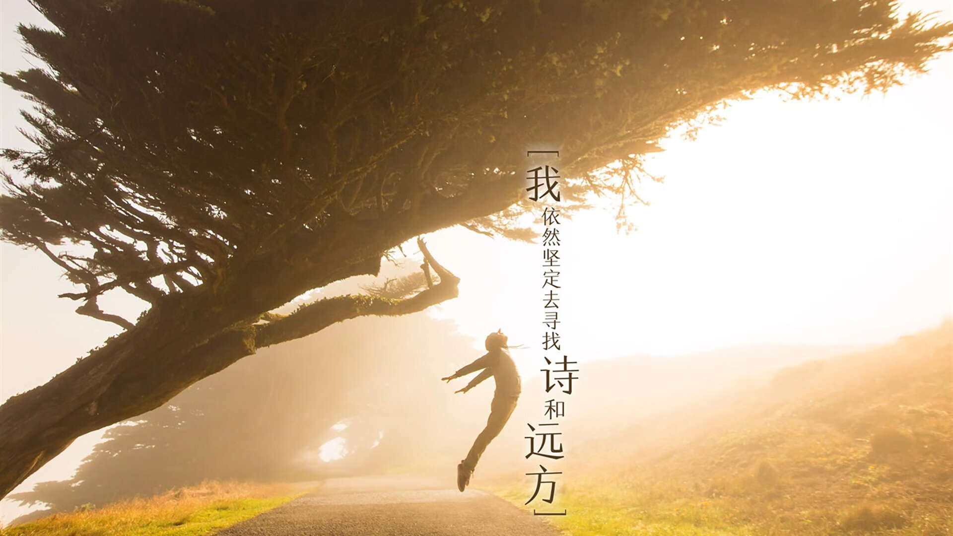 鹿岛之夜的丹麦童话,维尼修斯的华丽舞步与B组唯一性的生死密码